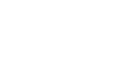 Joy for Dogs